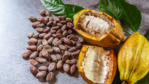 Organic Chocolate from Ecuador A Delicious Journey - Chocolate & More Delights