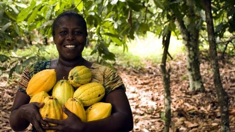 Plant Trees To Save Cocoa - Chocolate & More Delights