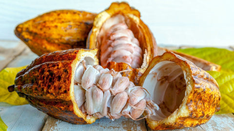 Understanding Cacao Arriba Nacional From Ecuador Blog - Chocolate & More Delights