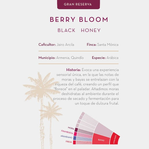 Cafe Quindio Gran Reserva Berry Bloom - Chocolate & More Delights