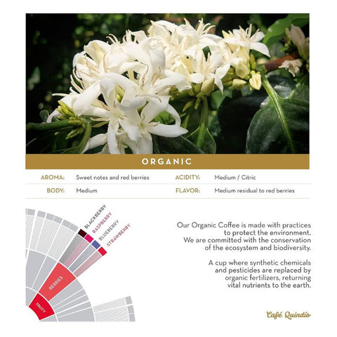 Café Quindío  Organic Coffee Beans - Chocolate & More Delights