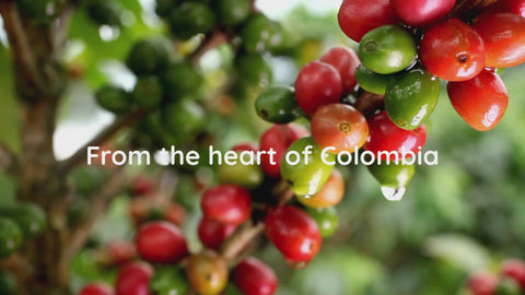  From the heart of Colombia Café Quindio Specialty Coffee Genova - Chocolate & More Delights