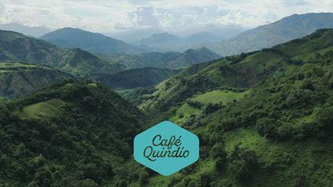 Café Quindio Specialty Coffee from the Heart of Colombia - Chocolate & More Delights