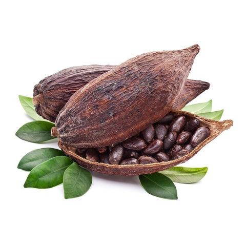 Lubeca Organic Couverture Chocolate Madagascar 71% - Chocolate & More Delights