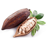 Cocoa Beans - Chocolate & More Delights